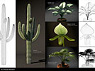 plant_models